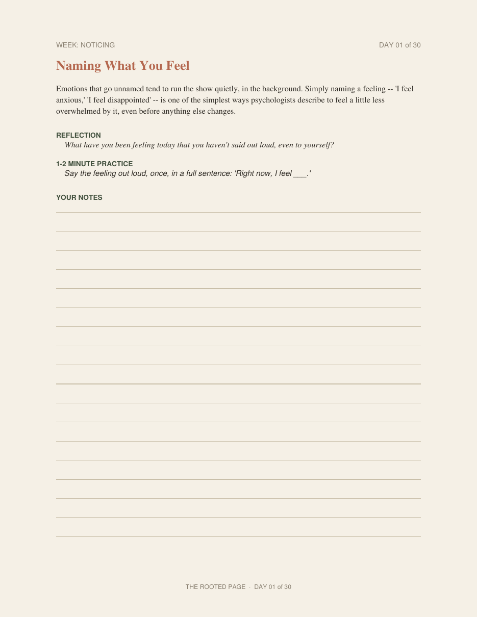 30 Days of Emotional Reset